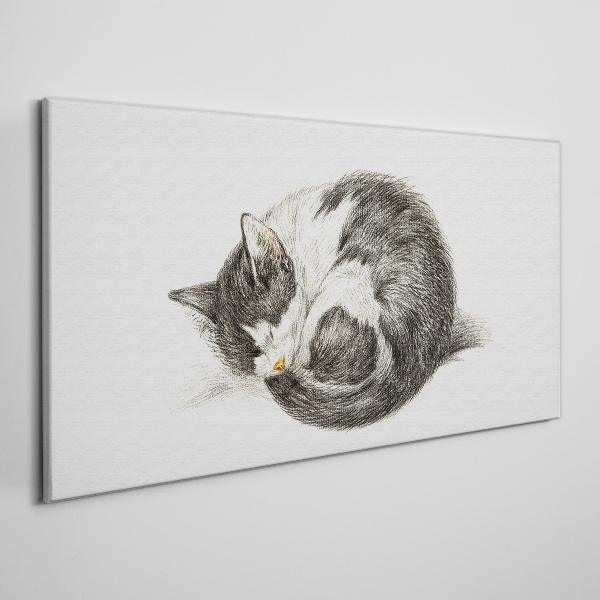 Obraz Canvas Sen kota w monochromatycznych odcieniach