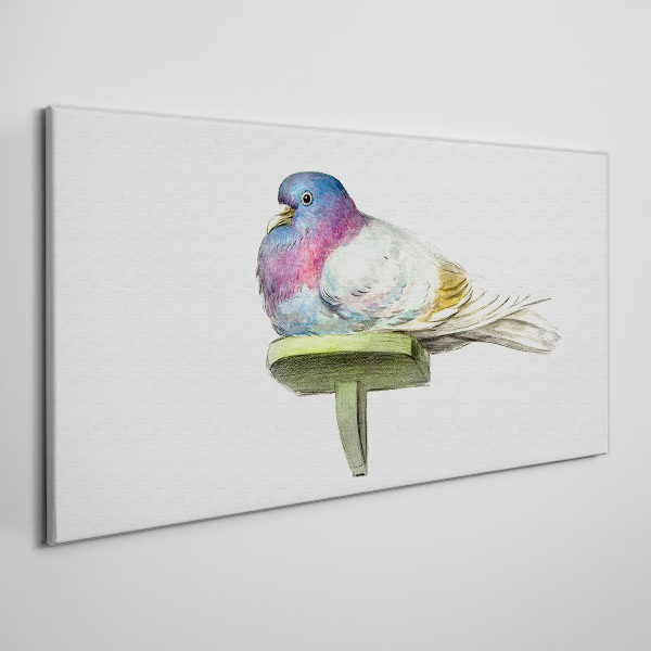 Obraz Canvas Kolorowa gołąb w pastelowych odcieniach