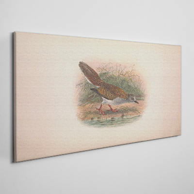 Obraz Canvas Ptak nad wodą