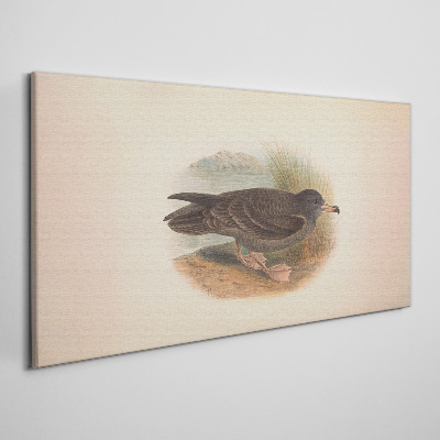 Obraz Canvas Ptak nad brzegiem wody