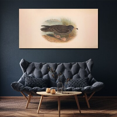 Obraz Canvas Ptaki Zwierzęta