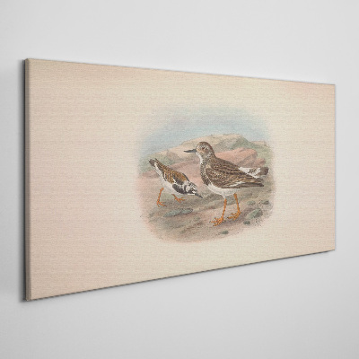 Obraz Canvas Ptaki na tle pustynnego krajobrazu