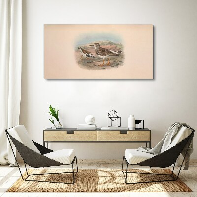 Obraz Canvas Ptaki na tle pustynnego krajobrazu