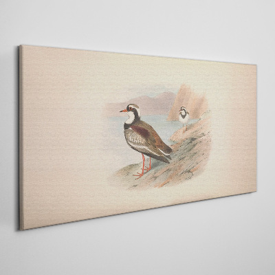 Obraz Canvas Ptaki nad wodą