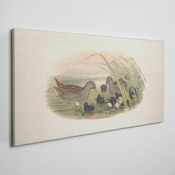 Obraz Canvas Kacze rodziny w wodnym otoczeniu