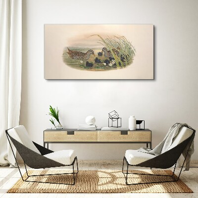 Obraz Canvas Kacze rodziny w wodnym otoczeniu
