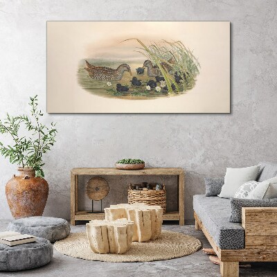 Obraz Canvas Kacze rodziny w wodnym otoczeniu
