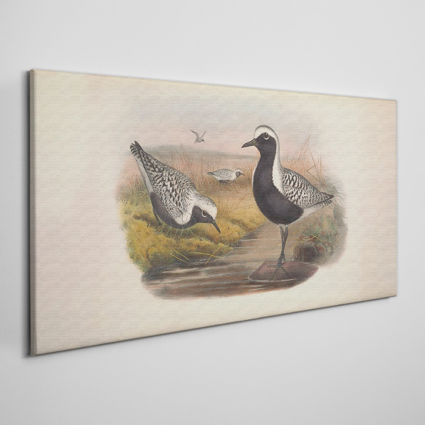 Obraz Canvas Ptaki w naturalnym środowisku