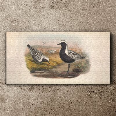 Obraz Canvas Ptaki w naturalnym środowisku