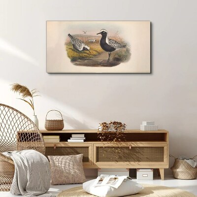 Obraz Canvas Ptaki w naturalnym środowisku