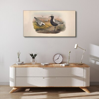 Obraz Canvas Ptaki w naturalnym środowisku