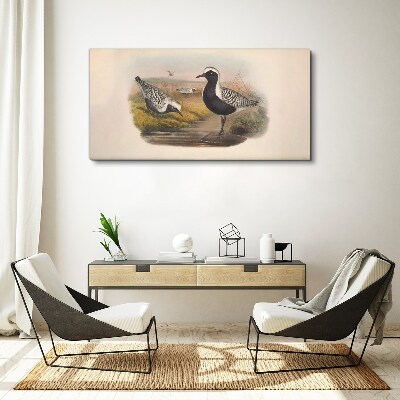 Obraz Canvas Ptaki w naturalnym środowisku
