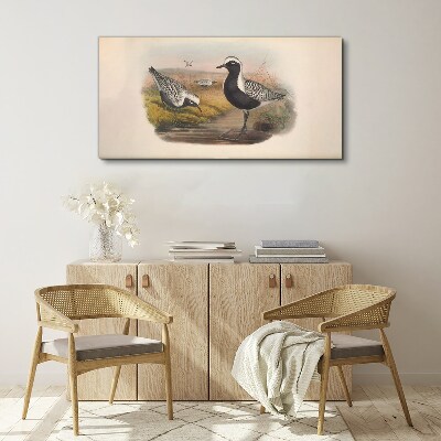 Obraz Canvas Ptaki w naturalnym środowisku