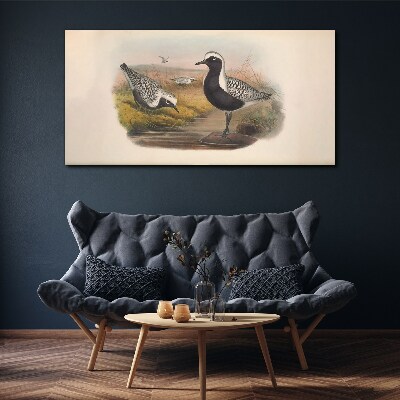 Obraz Canvas Ptaki w naturalnym środowisku