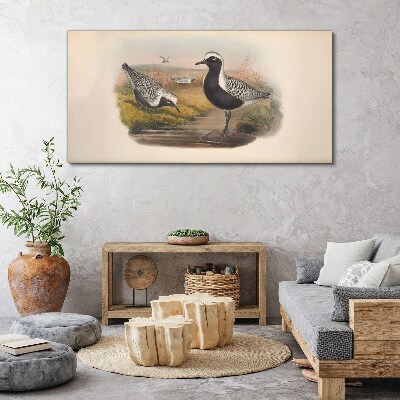 Obraz Canvas Ptaki w naturalnym środowisku