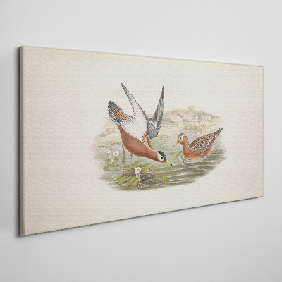 Obraz Canvas Ptaki nad wodą