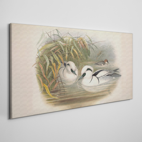 Obraz Canvas Sielankowy duet wśród traw