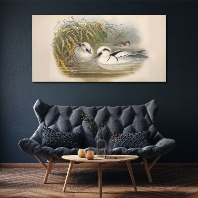 Obraz Canvas Sielankowy duet wśród traw