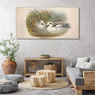 Obraz Canvas Sielankowy duet wśród traw