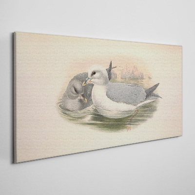Obraz Canvas Morskie ptaki w spokojnej wodzie