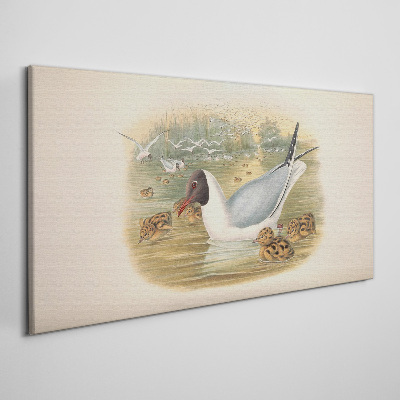 Obraz Canvas Mewa z młodymi w wodzie