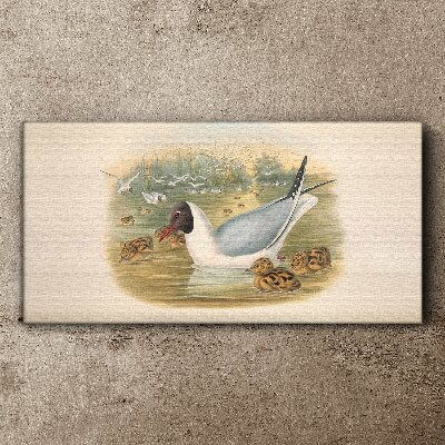 Obraz Canvas Mewa z młodymi w wodzie