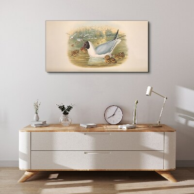 Obraz Canvas Mewa z młodymi w wodzie