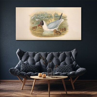 Obraz Canvas Mewa z młodymi w wodzie