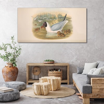Obraz Canvas Mewa z młodymi w wodzie