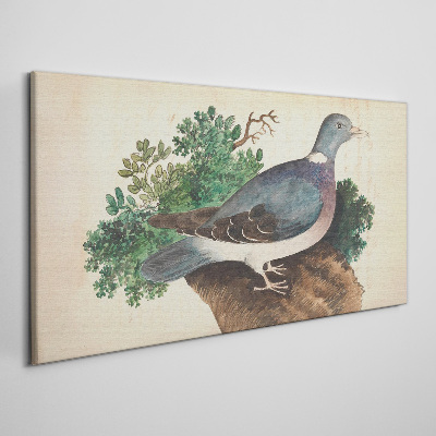 Obraz Canvas Gołąb na tle zieleni