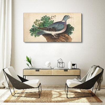 Obraz Canvas Gołąb na tle zieleni