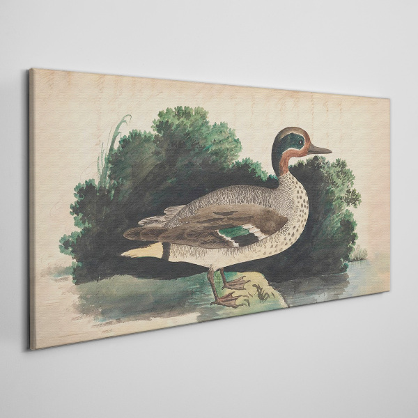 Obraz Canvas Kaczka w otoczeniu zieleni