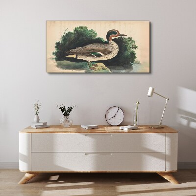 Obraz Canvas Kaczka w otoczeniu zieleni