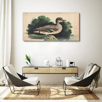 Obraz Canvas Kaczka w otoczeniu zieleni