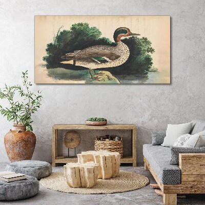 Obraz Canvas Kaczka w otoczeniu zieleni