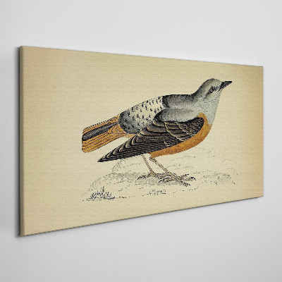 Obraz Canvas Ptak w pastelowych odcieniach