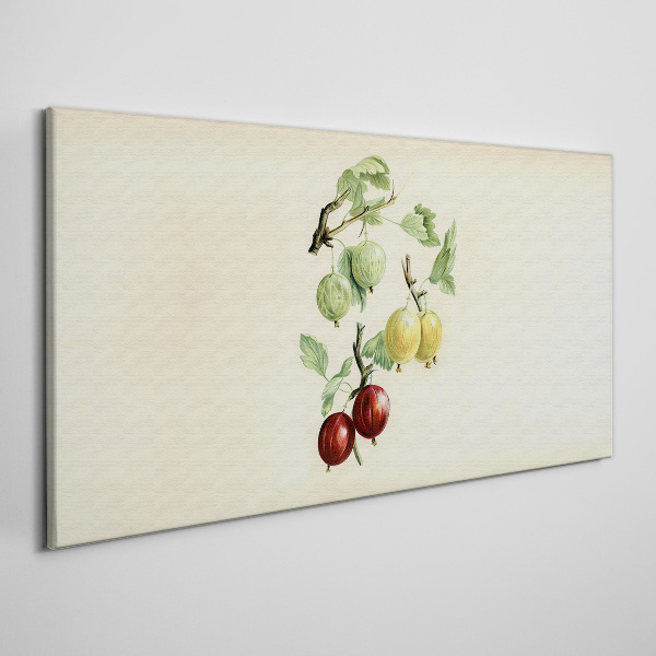 Obraz Canvas owoce winogrona