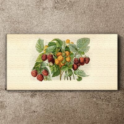 Obraz Canvas Owocowy bukiet malin i jeżyn