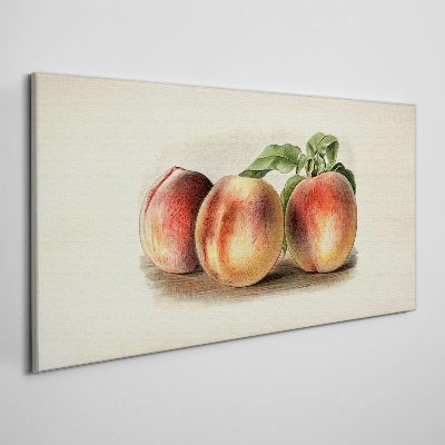 Obraz Canvas Trzy brzoskwinie na białym tle