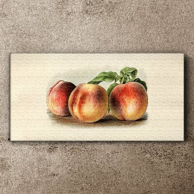 Obraz Canvas Trzy brzoskwinie na białym tle