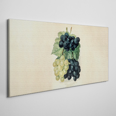 Obraz Canvas owoce winogrona liście