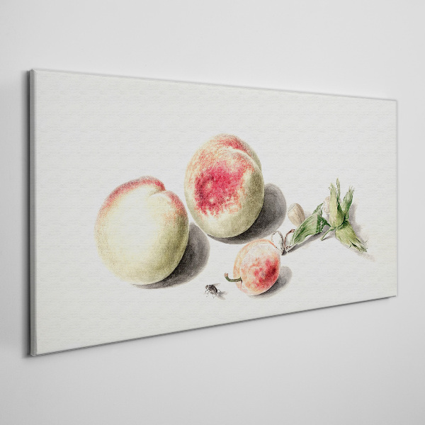 Obraz Canvas Soczyste brzoskwinie na jasnym tle