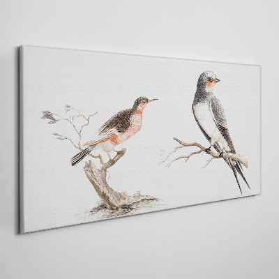 Obraz Canvas Ptaki na gałęziach