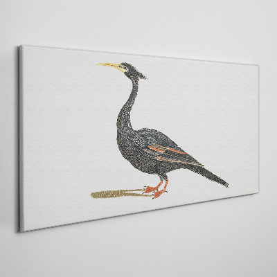 Obraz Canvas Czarny ptak na białym tle