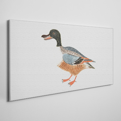 Obraz Canvas Kaczka w kolorowej szacie