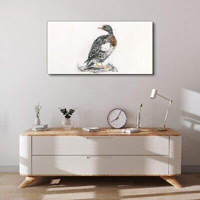 Obraz na Płótnie Rysunek Zwierzę Ptak Kaczka