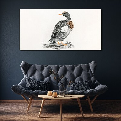 Obraz na Płótnie Rysunek Zwierzę Ptak Kaczka