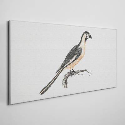Obraz Canvas Ptak na gałęzi