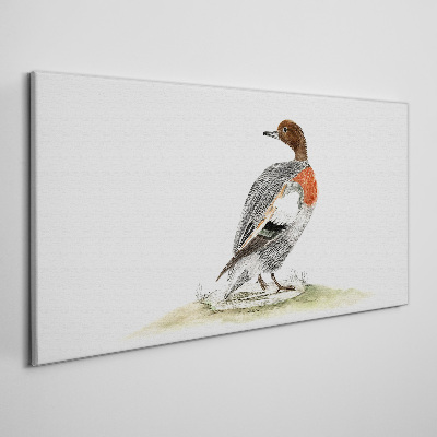 Obraz Canvas Kaczka na tle naturalnym