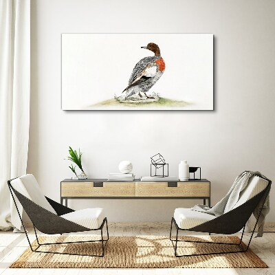 Obraz Canvas Rysunek Zwierzę Ptak Kaczka